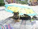 Ostsee-Sommer 06 Trolli vor dem Baden